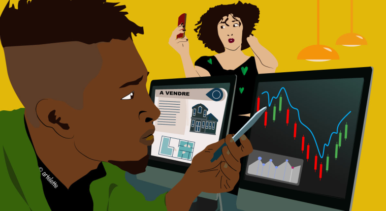 Le patrimoine d'un abonné au Revenu. (© Artelette)