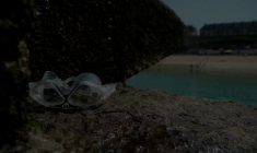 Episode caniculaire : la Bretagne en vigilance orange