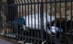 Une personne sans domicile fixe à Paris, le 7 mai 2026 ( AFP / JOEL SAGET )