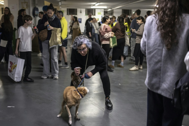 Une femme et son chien dans un parking souterrain servant d'abri anti-bombes lors d'une alerte à Tel Aviv, le 9 mars 2026 en Israël ( AFP / OLYMPIA DE MAISMONT )