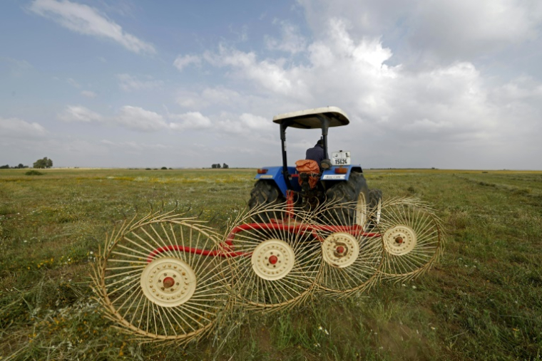 Un agriculteur utilise une machine de ramassage du foin dans un champ de la région de Zehiliga, au Maroc, le 28 avril 2026 ( AFP / Abdel Majid BZIOUAT )
