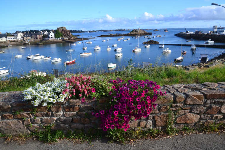 Rue des Deux Frères Denis Port de Loguivy-de-la-Mer (Ploubazlanec). (Crédits: Flickr - Jeanne Menjoulet)