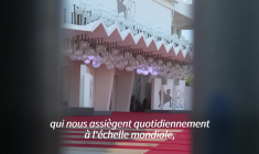 Venise déroule le tapis rouge au cinéma mondial