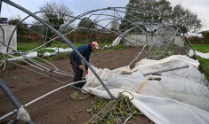Guillaume Troadec, agriculteur à Saint-Igneuc (Côtes-d'Armor) répare une serre détruite par la tempête Ciaran le 6 novembre.  ( AFP / DAMIEN MEYER )