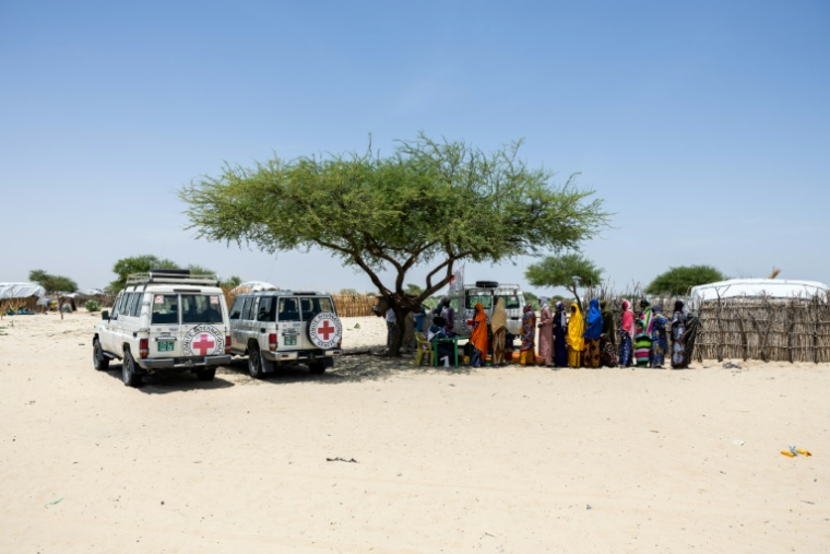 Des femmes font la queue lors d'une distribution d'aide par le Comité international de la Croix-Rouge, dans un camp de déplacés à Kiskra, dans la province du lac Tchad, au Tchad, le 19 juin 2025 ( AFP / Joris Bolomey )