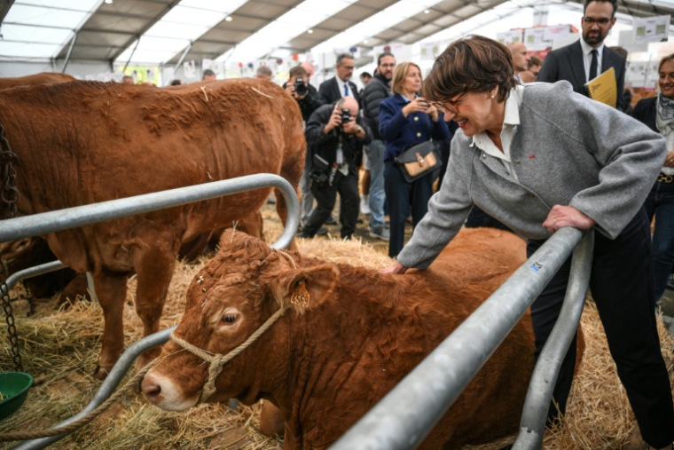 La ministre de l'Agriculture Annie Genevard visite le Sommet de l'élevage à Cournon-d'Auvergne, le 8 octobre 2026 dans le Puy-de-Dôme ( AFP / OLIVIER CHASSIGNOLE )