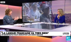 Anne Abeillé, linguiste : "On voudrait réenchanter le plaisir d'apprendre et de parler le français"