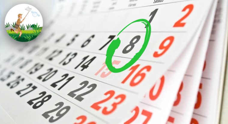 Il n’est  pas nécessaire de garder ses actions pendant un an pour percevoir le dividende. (© DR)