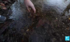 La France du chocolat