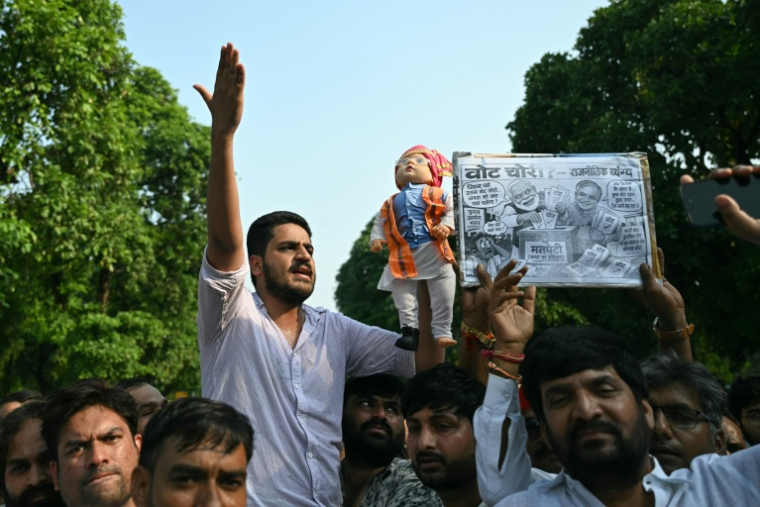 Des partisans du parti du Congrès lors d’une manifestation réclamant la démission du chef de la Commission électorale de l’Inde, Gyanesh Kumar, à New Delhi, le 12 octobre 2026 ( AFP / Sajjad HUSSAIN )