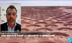 Désertification: la COP17 à la recherche de moyens pour assurer la sécurité alimentaire mondiale