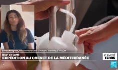 Expédition autour de la Corse pour dresser un bilan de santé de la Méditerranée