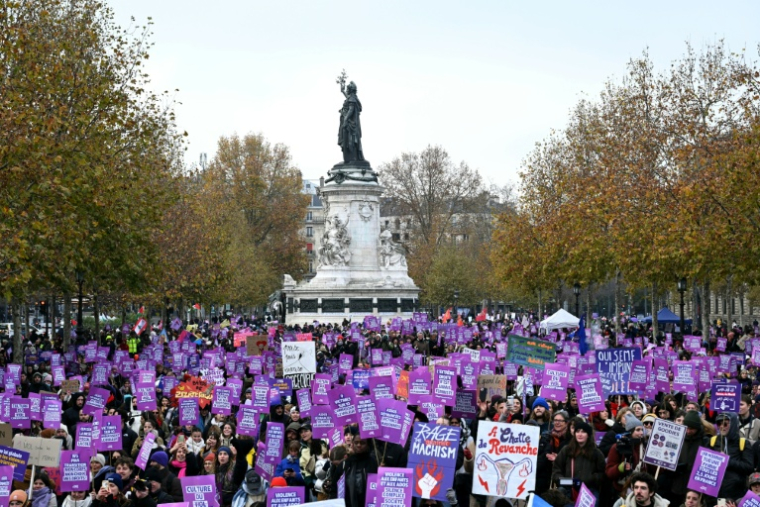Les manifestants se sont rassemblés place de la République, à Paris, samedi 22 novembre 2025 ( AFP / Bertrand GUAY )
