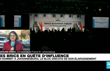 Les BRICS en quête d'influence : en sommet à Johannesburg, le bloc discute de son élargissement