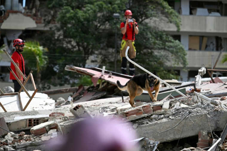 Un chien de l'équipe de sauvetage espagnole recherche des victimes dans les décombres d'un bâtiment effondré à Catia La Mar, dans l'Etat de La Guaira, le 28 juin 2026 au Venezuela ( AFP / Juan BARRETO )