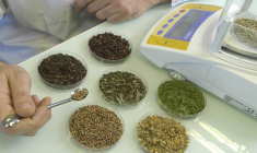 Naturex transforme des produits naturels pour les industries agroalimentaire et cosmétique. (© Naturex)