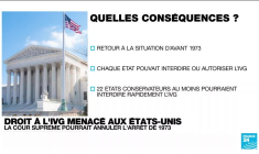 Droit à l'IVG menacé aux Etats-Unis : la Cour Suprême pourrait annuler l'arrêt de 1973