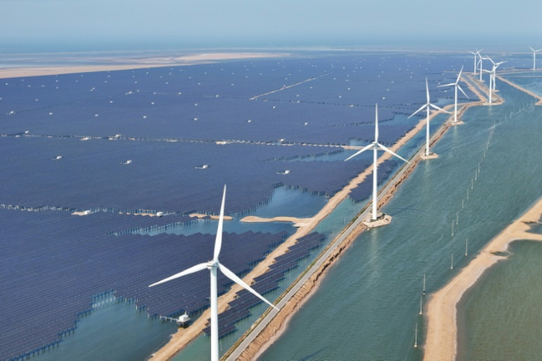 Des panneaux solaires et des éoliennes à Binzhou, dans la province orientale du Shandong, le 11 juin 2025 en Chine ( AFP / STR )