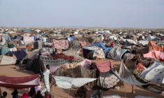 Abris de fortune dans le camp d'Um Yanqur, près de Tawila, dans l'ouest du Soudan, le 3 novembre 2025  ( AFP / - )