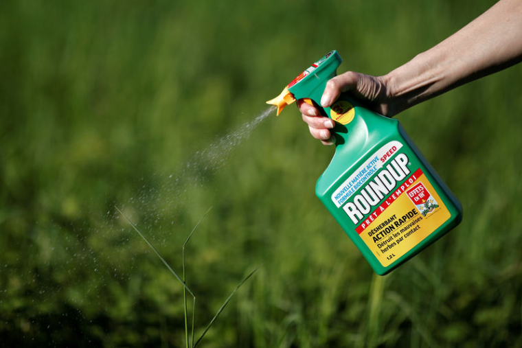ALLEMAGNE: LE GLYPHOSATE SERA INTERDIT À PARTIR DE LA FIN 2023, SELON DES SOURCES
