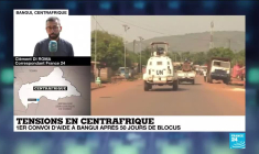 Tensions en Centrafrique : 1er convoi d'aide à Bangui après 50 jours de blocus