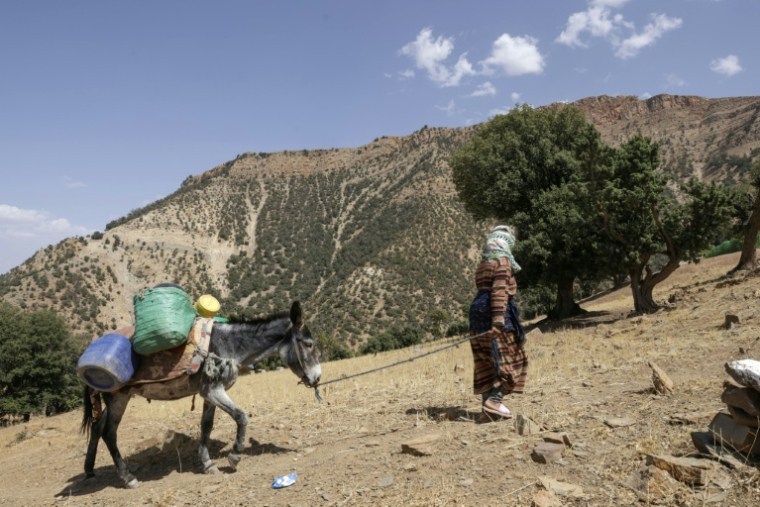 Une habitante du hameau d'Imzerri, le 19 août 2025 dans les montagnes de l'Atlas, au Maroc ( AFP / Abdel Majid BZIOUAT )
