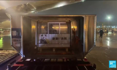 Le Japon rend 4 pandas à la Chine : des milliers d'admirateurs font leurs adieux