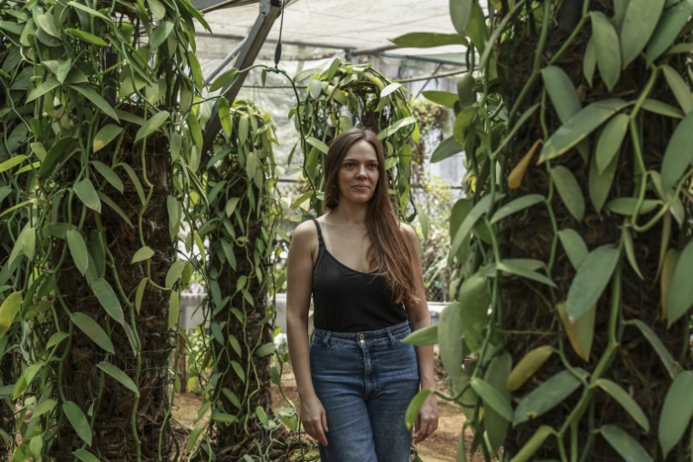 Juliette Dohar, cofondatrice de L’atelier Vanilha, dans une serre utilisée pour le séchage et la culture de la vanille, à Sao Tomé, capitale de Sao Tomé-et-Principe, le 7 août 2026 ( AFP / Daniel BELOUMOU OLOMO )