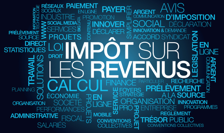 Combien allez-vous payer d'impôt sur le revenu en 2022 ? ( Crédits: © morganimation - stock.adobe.com)