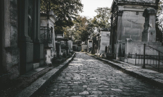 (Crédits photo : Unsplash - Echo Grid )