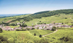 Le nombre de transactions, sur le secteur des marchés fonciers ruraux, a ainsi bondi de 22,3%. (© Shutterstock)