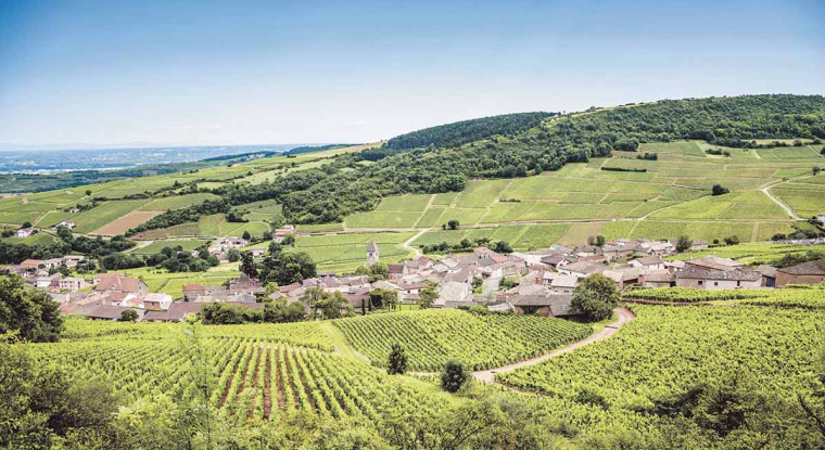 Le nombre de transactions, sur le secteur des marchés fonciers ruraux, a ainsi bondi de 22,3%. (© Shutterstock)