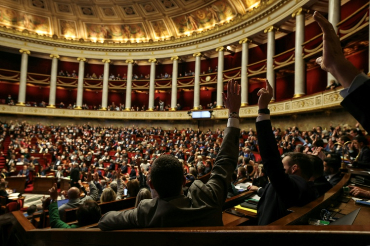 L'assemblée nationale le 12 novembre 2025 ( AFP / Thomas SAMSON )