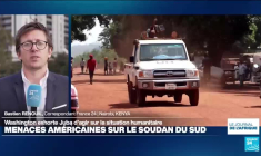 RD Congo : Démonstration de force de l'UPDS à Kinshasa