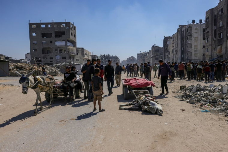 Des Palestiniens se tiennent autour d’un âne tué lors d’une frappe de drone israélien à Jabalia, dans le nord de la bande de Gaza, le 23 mai 2025 ( AFP / Bashar TALEB )
