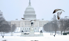 Le Capitole de Washington, siège du Congrès américain, le 25 janvier 2026 ( AFP / Amid FARAHI )
