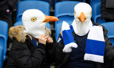 Un joueur amateur amateur d’Istanbul sauve une mouette de la mort grâce à un massage cardiaque