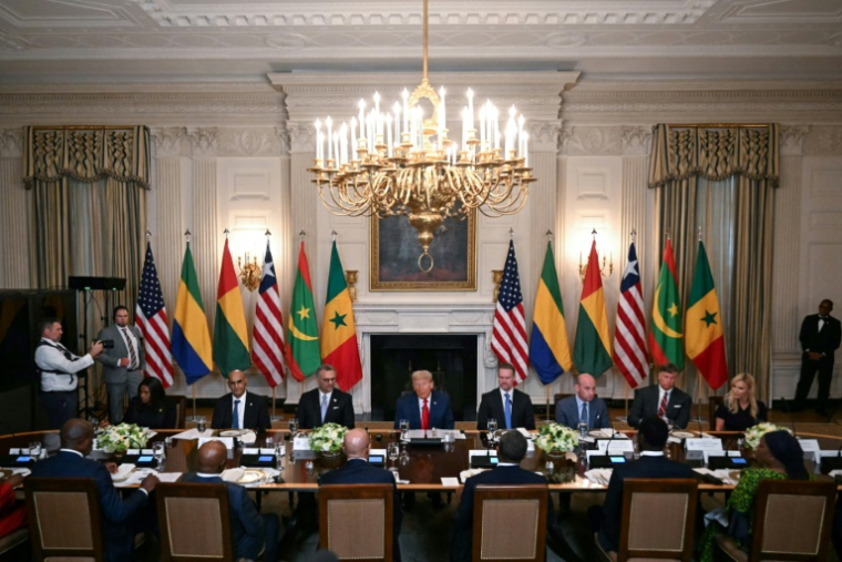 Donald Trump s'exprime lors d'un déjeuner avec les présidents de cinq Etats africains, à la Maison Blanche à Washington le 9 juillet 2025 ( AFP / Jim WATSON )