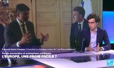 Fonds souverains et entreprises publiques : l’Europe, une proie facile ?