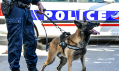 Un vaste dispositif de recherches a été déployé en Seine-Saint-Denis afin de retrouver un enfant autiste de quatre ans disparu mercredi le long de la Marne ( AFP / PHILIPPE HUGUEN )