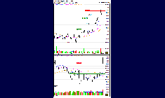TotalEnergies SE : Deactivering van de BEST turbo Short DE000SQ6Q7D7 (-100%) (IK44S)