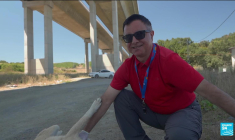 Turquie: une loi controversée prévoit de capturer 4 millions de canidés