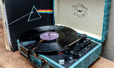 Vinyles le grand retour : Zoom sur un phénomène à l'heure du tout numérique