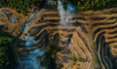 De la fumée pendant le déboisement d'une nouvelle zone de plantation de palmiers à huile à Lamno, dans la province d'Aceh, le 18 janvier 2026 en Indonésie ( AFP / CHAIDEER MAHYUDDIN )