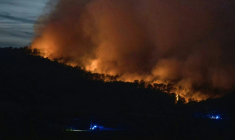 Incendie à Tournissan, dans l'Aude, le 5 août 2025  ( AFP / Idriss BIGOU-GILLES )