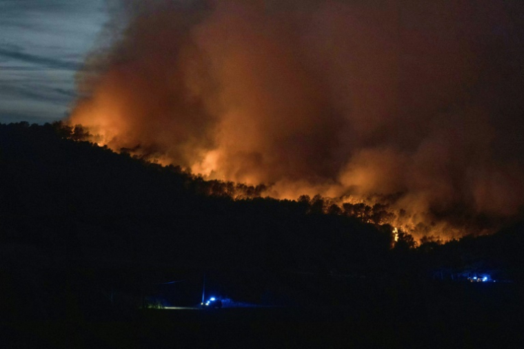 Incendie à Tournissan, dans l'Aude, le 5 août 2025 ( AFP / Idriss BIGOU-GILLES )