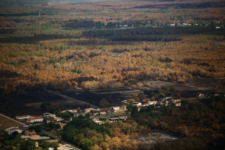 Vue aérienne prise depuis un hélicoptère de la sécurité civile montrant l'étendue des dégâts causés par un incendie sur la commune de Le Porge, en Gironde, le 31 juillet 2026 ( POOL / Sarah Meyssonnier )