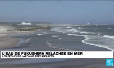Rejet de l'eau de Fukushima : les pêcheurs japonais très inquiets