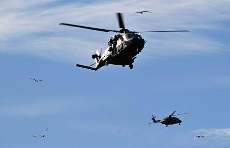 Deux hélicoptères NH90, lors d'un exercice militaire au port d'Hambourg, en septembre 2025 (illustration) ( AFP / TOBIAS SCHWARZ )