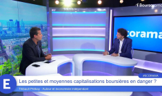 Les petites et moyennes capitalisations boursières en danger ?